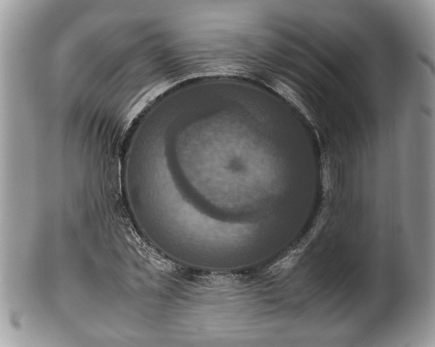X0000101220781200807071347