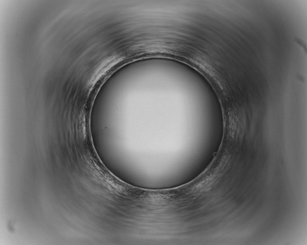 X0000101220782200807071347
