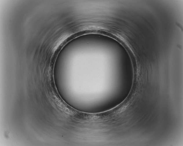 X0000101220783200807071347