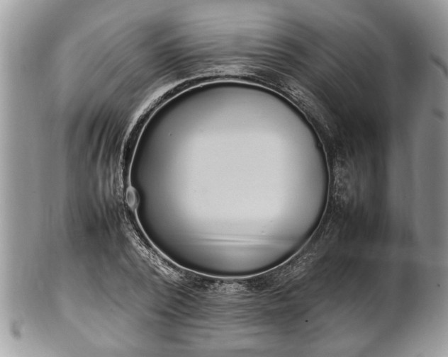 X0000101220784200807071347