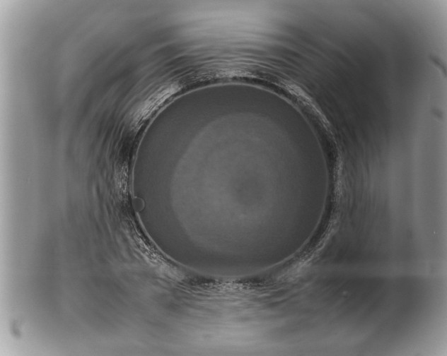 X0000101220785200807071347