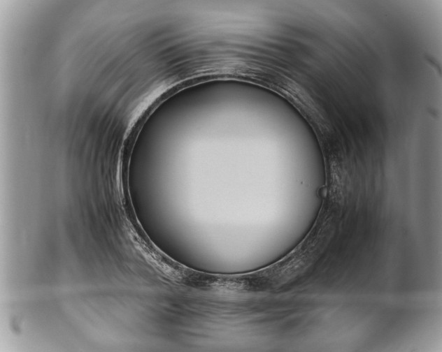 X0000101220788200807071346