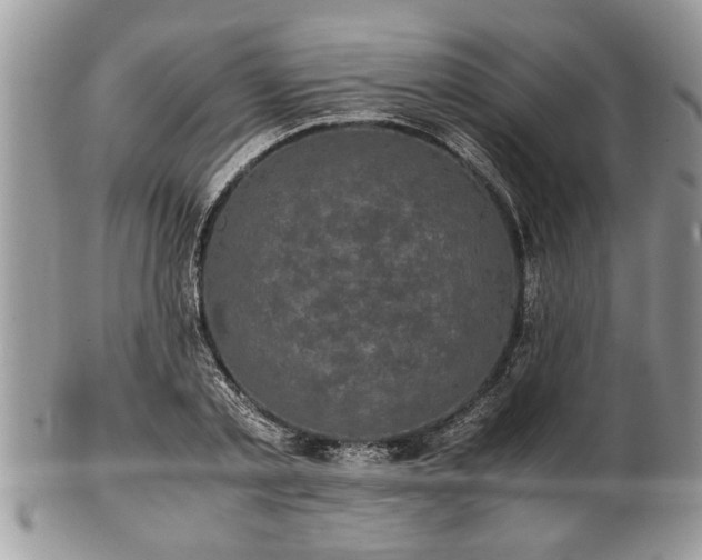 X0000101220789200807071346