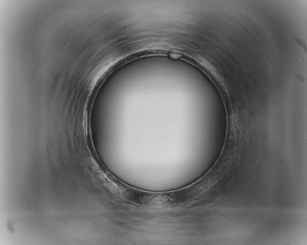 X0000101220791200807071346