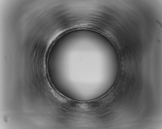 X0000101220792200807071346