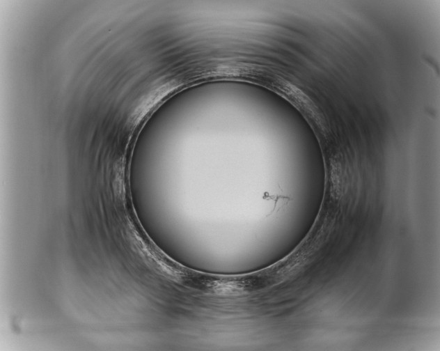 X0000101220794200807071346