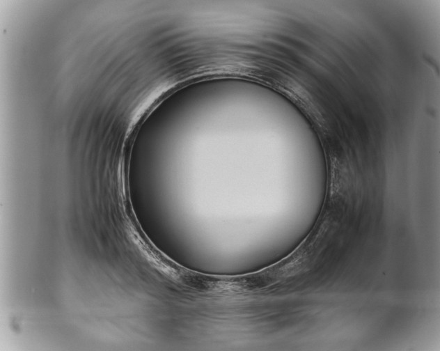X0000101220796200807071346