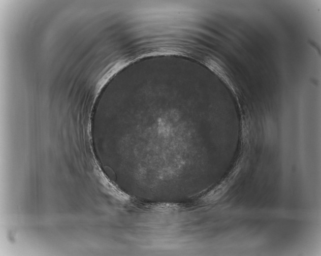 X0000101220797200807071346