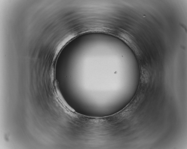 X0000101220804200807071346
