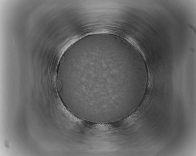 X0000101220805200807071346