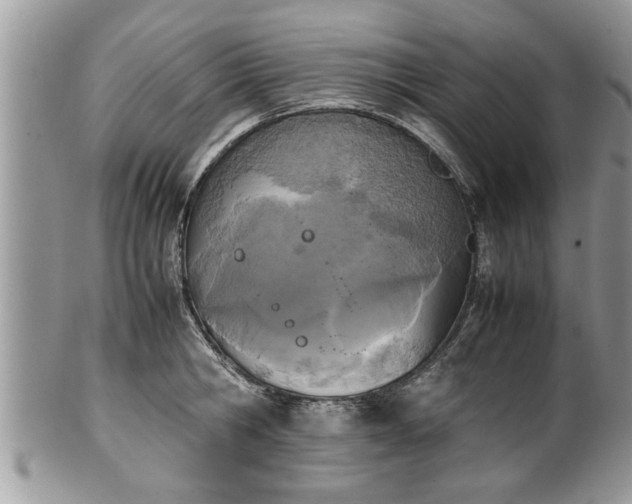 X0000101220806200807071346