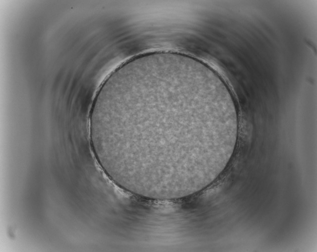 X0000101220807200807071346