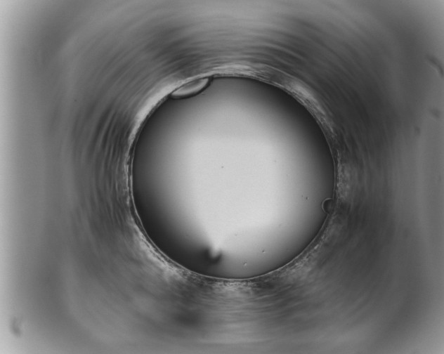 X0000101220808200807071346