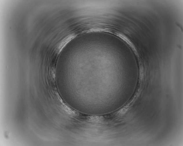 X0000101220809200807071346