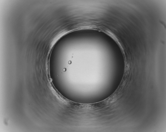 X0000101220811200807071346