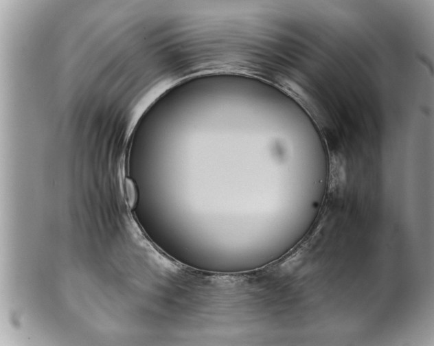X0000101220812200807071346
