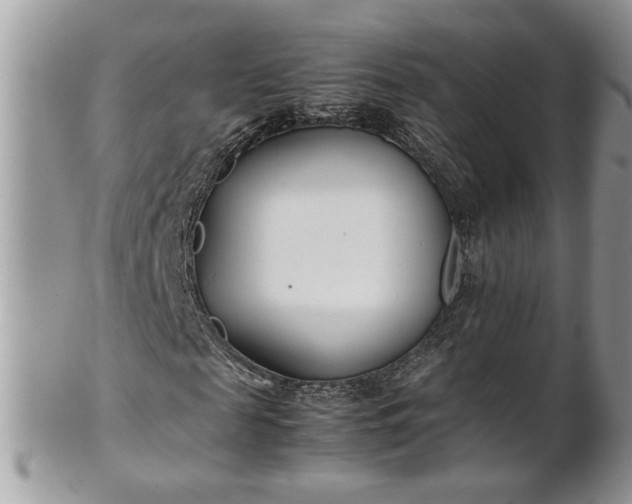 X0000101220817200807071345
