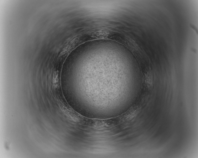 X0000101220818200807071345