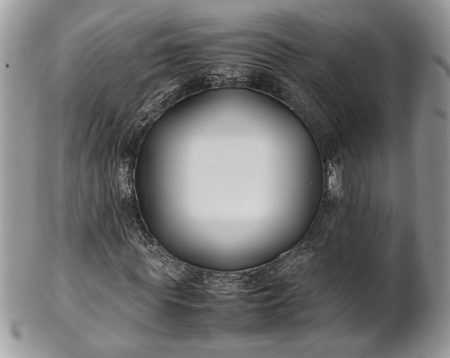 X0000101220819200807071345