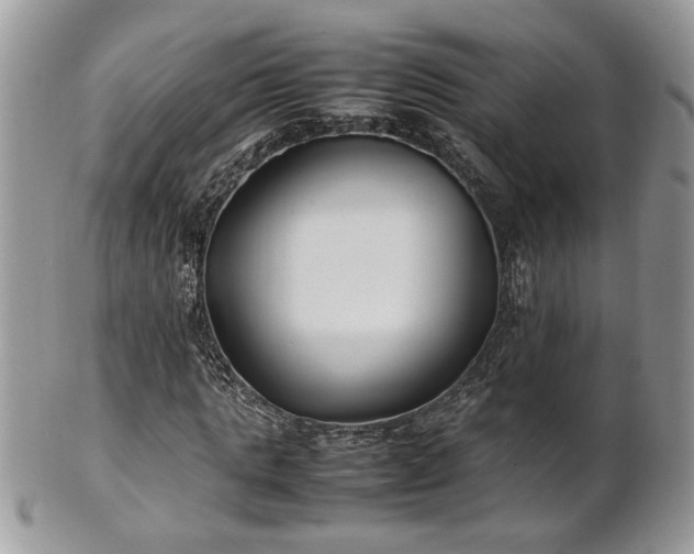 X0000101220821200807071345