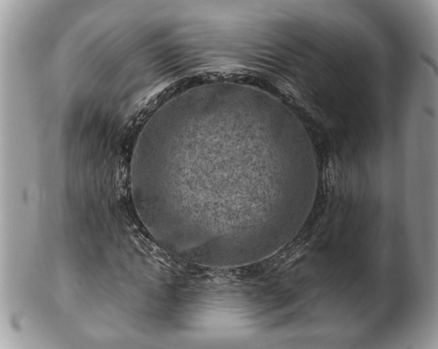 X0000101220822200807071345
