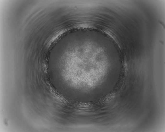 X0000101220823200807071345