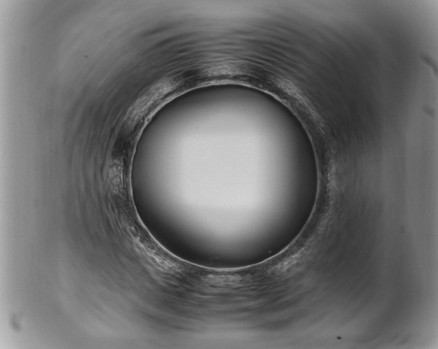 X0000101220825200807071345