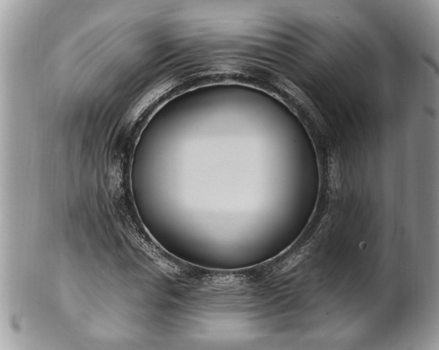 X0000101220826200807071345