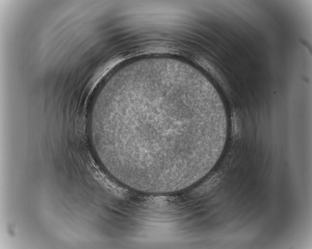 X0000101220828200807071345