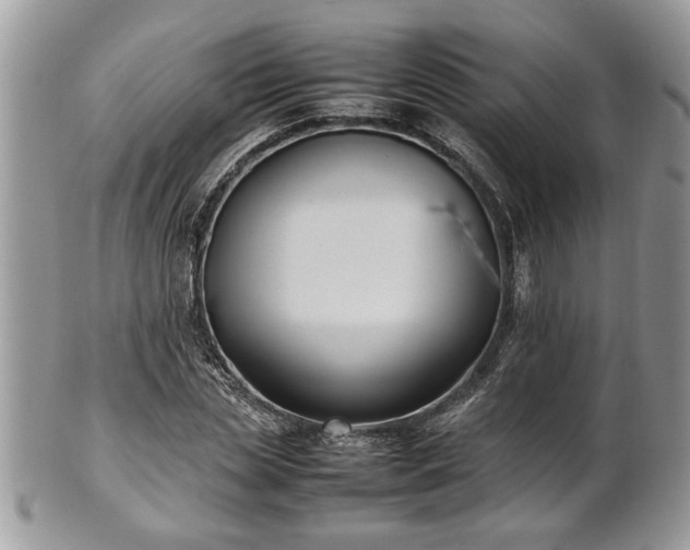 X0000101220829200807071345