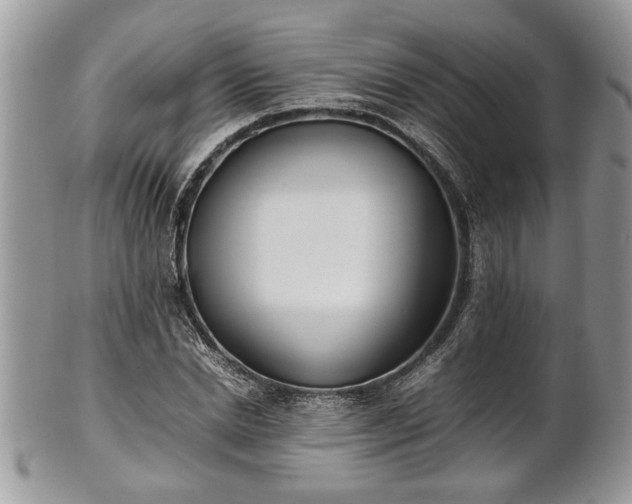 X0000101220830200807071345