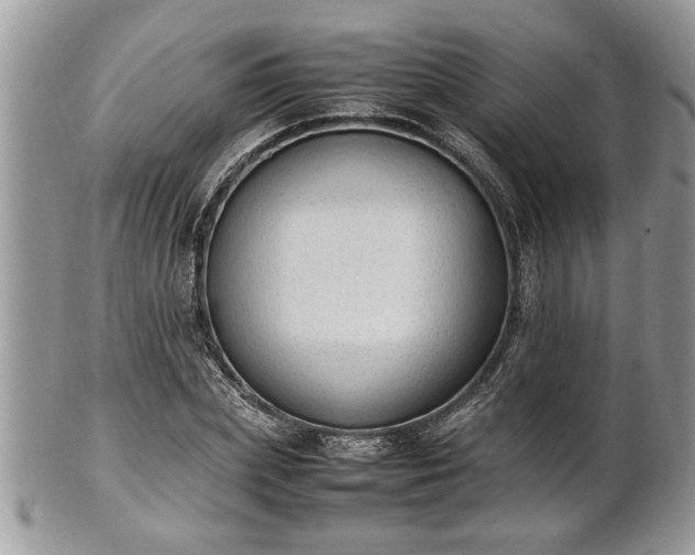 X0000101220831200807071345