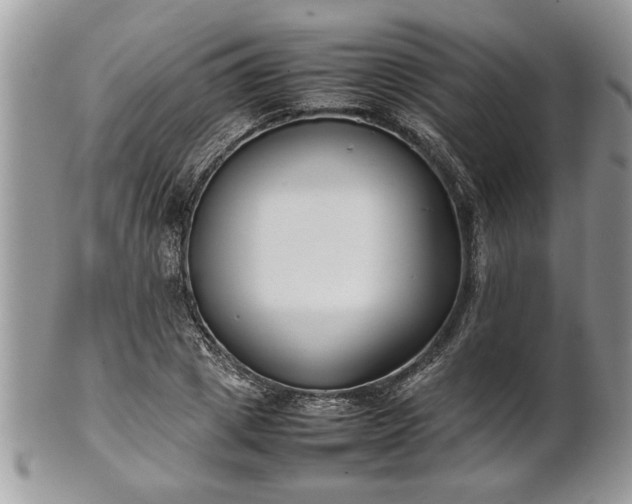 X0000101220833200807071345