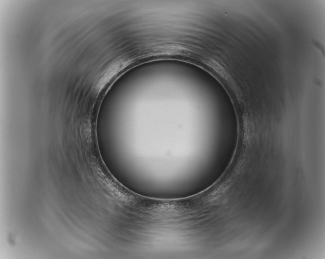 X0000101220834200807071345