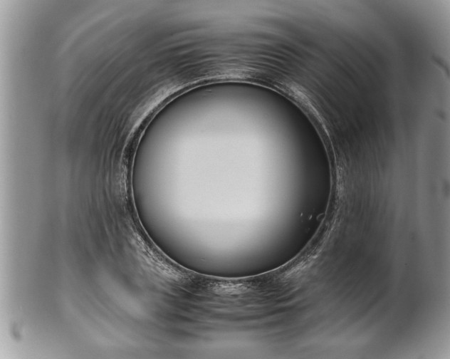 X0000101220835200807071345