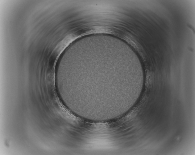 X0000101220836200807071345