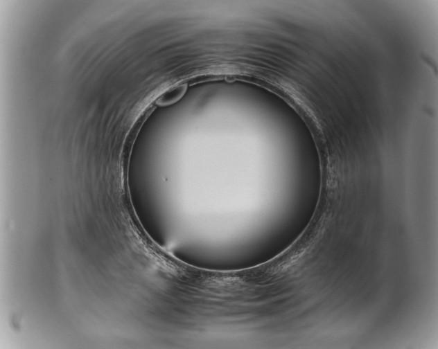 X0000101220837200807071346