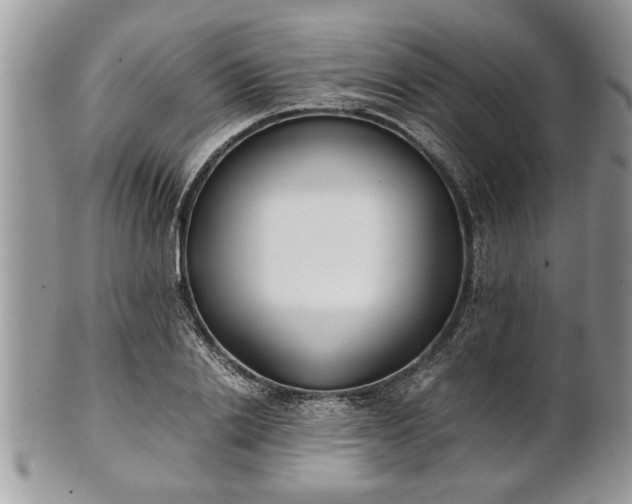 X0000101220838200807071346