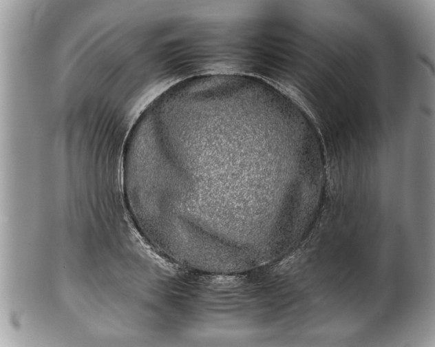 X0000101220839200807071346