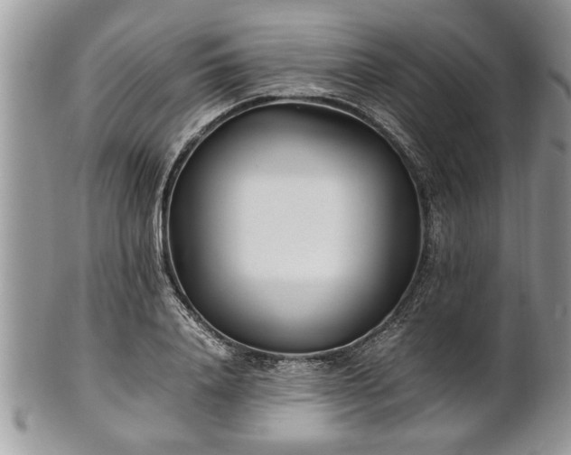 X0000101220840200807071346