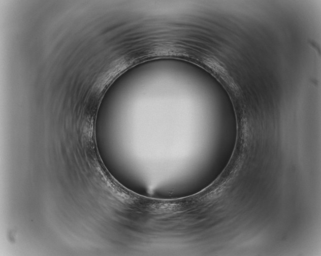 X0000101220841200807071346