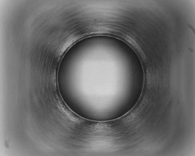 X0000101220842200807071346