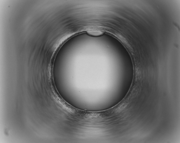 X0000101220846200807071346