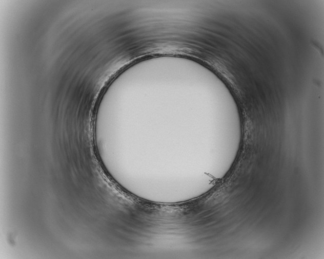 X0000101220848200807071346