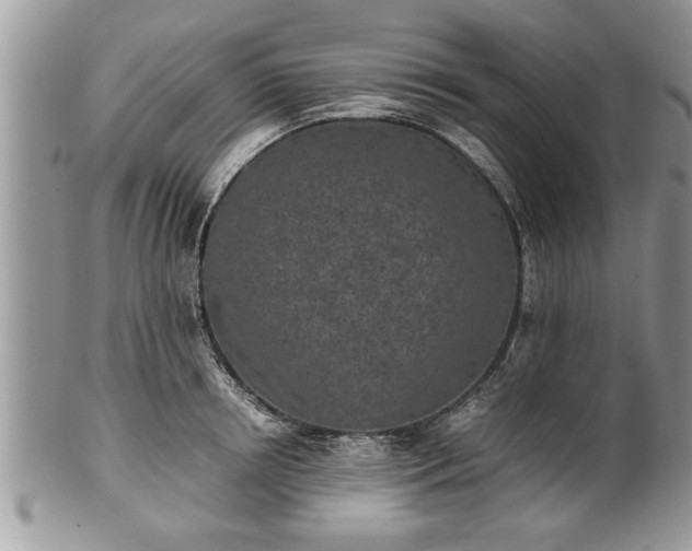 X0000101220850200807071346