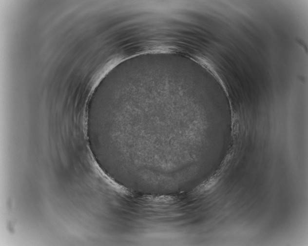X0000101220851200807071346