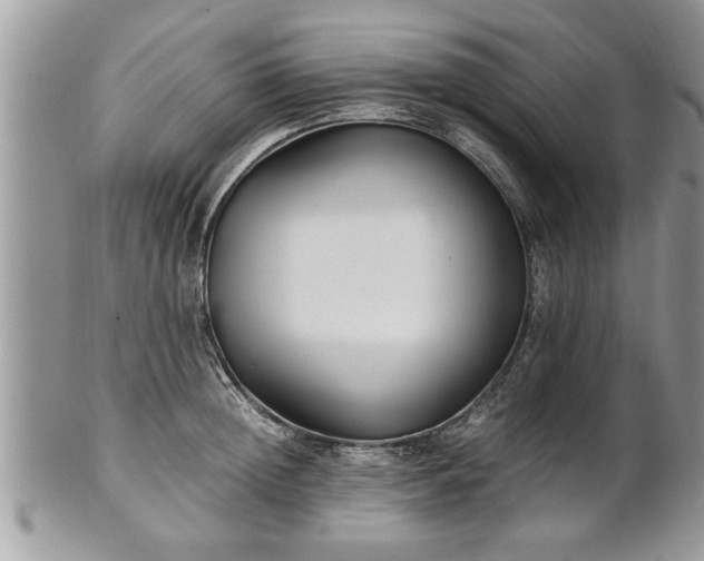 X0000101220852200807071346