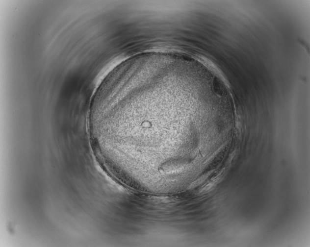 X0000101220855200807071346