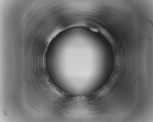 X0000101220858200807071346
