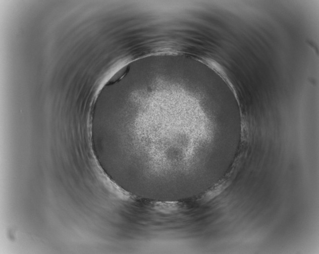 X0000101220859200807071346